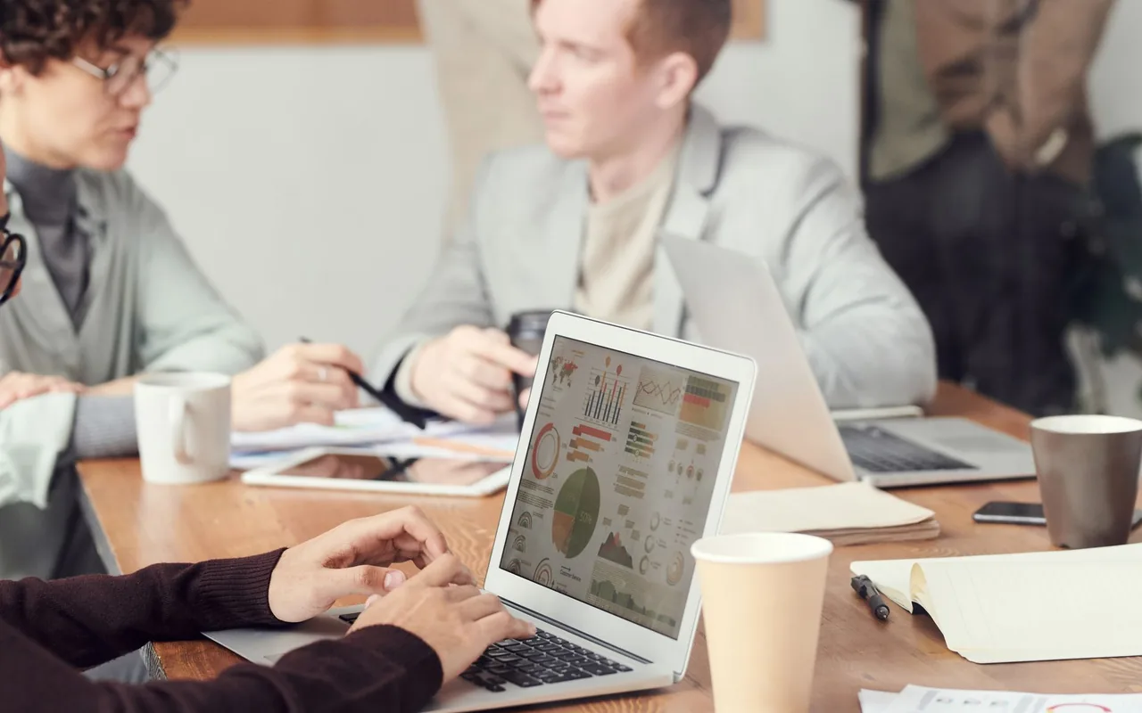 Consulting Services